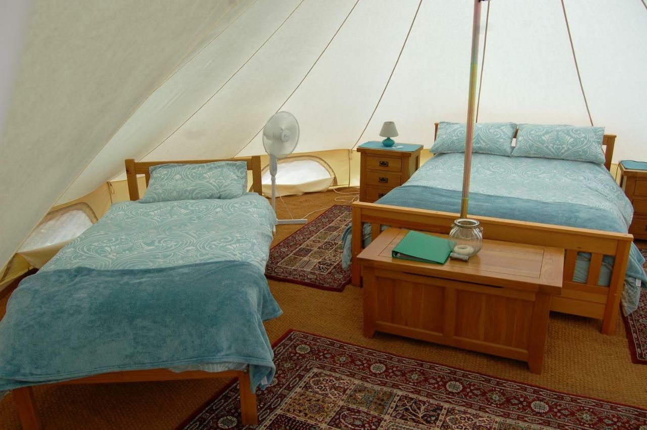 Camping La Foret De Tesse Екстериор снимка